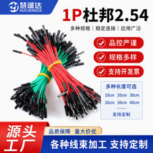 24AWG1P超软耐高温3239杜邦硅胶线2.54端子插头公对母电子连接线