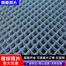镀锌网片果园苗床铁丝防护围栏网施工钢丝建筑网片矿用网片厂家