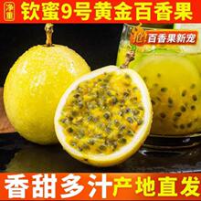 钦蜜9号百香果现摘产地直发爆甜多汁生鲜供应链供货支持一件代发