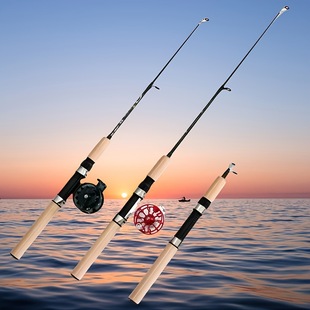 Ice fishing rod winter fishing rod suit raft fishing rod ultra short small sea Rod free shipping solid two-section carbon short section fishing rod