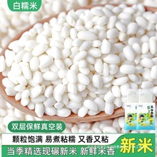 AŴrճ׽װŴᄾưӌŴ