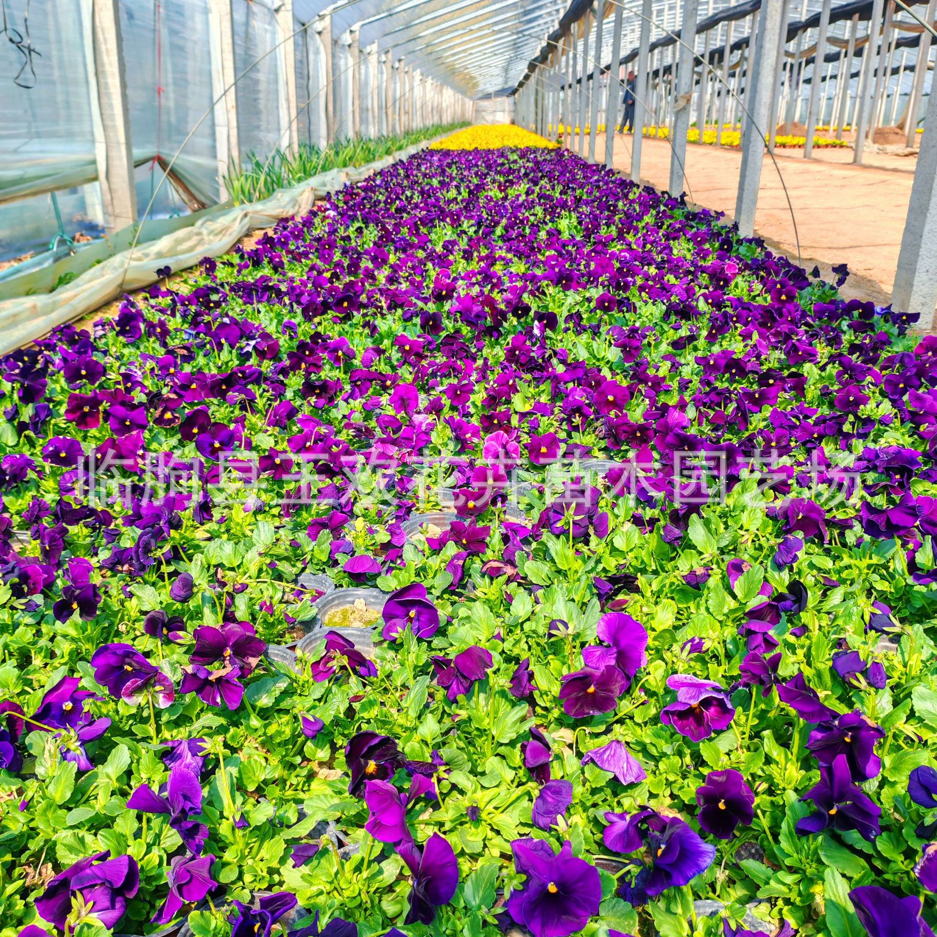 d7a4eeed-e6fd-4009-bb63-eba5b9