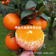 ���ڼ޽ӟo��ɰ���������Ե��ԟo��ɳ�ǽ��Ϸ����������箔��Y��