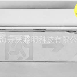 劳士安全出口指示牌 嵌入式吊顶透明玻璃疏散指示灯/ L220 单向