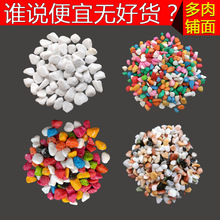 【】水自在彩色小石头多肉铺面石子花盆小白石五花石园艺敏一
