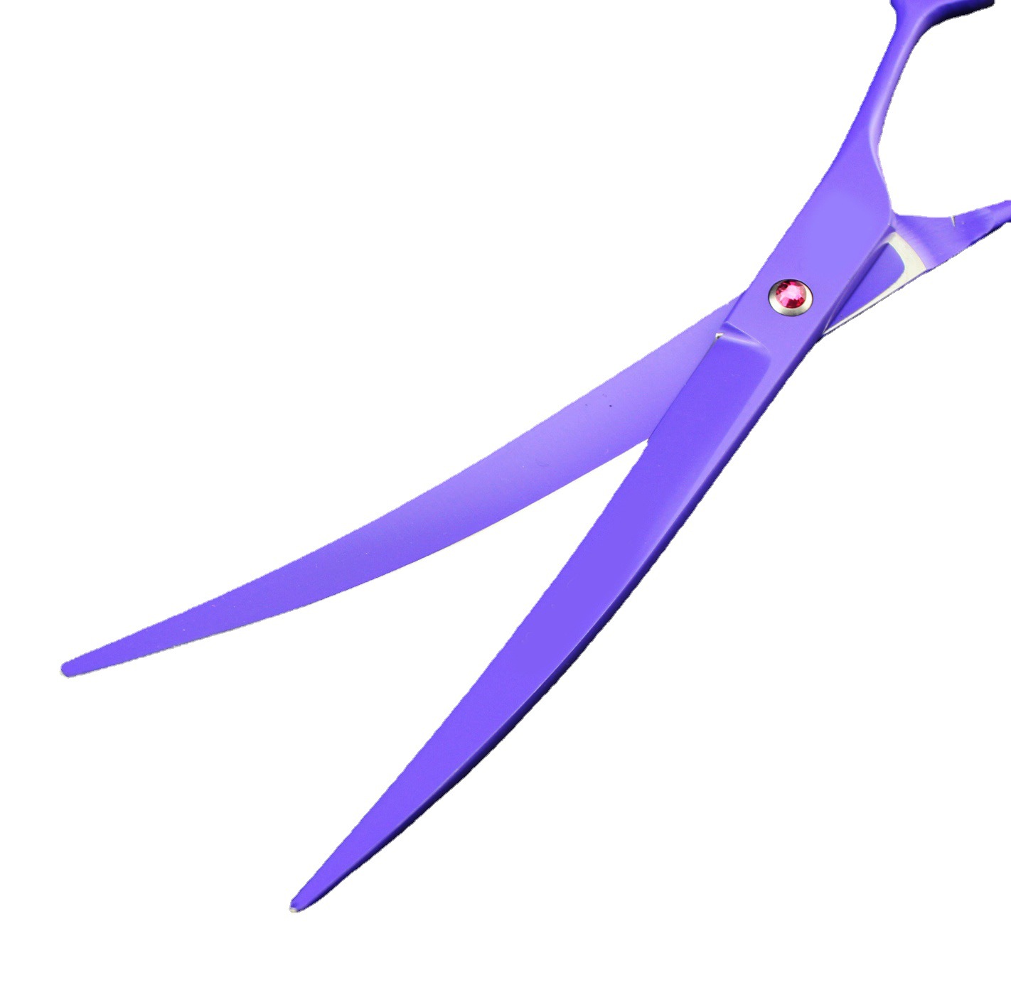 紫龙 9.0寸紫罗兰 高档双尾  宠物剪 平剪 宠物美容剪 弯剪 送包