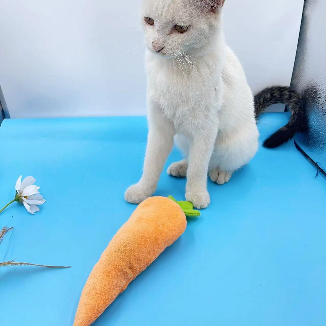 고양이 장난감 개박하 봉제 장난감 20CM 당근 큰 고양이 긁힘 방지 물린 제조 업체 도매