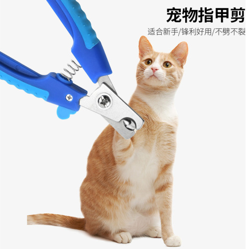Stainless steel pet nail clippers dog nail clipper set cat and cat nail polisher dog and cat nail clipper file