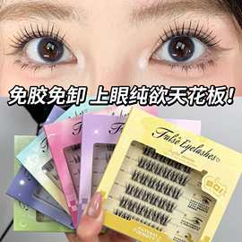 漫湾选免胶假睫毛太阳花免粘胶水睫毛女团果冻胶跨境眼睫毛卷翘