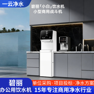 碧丽 [净水器企业办公室30人用JO-LV9商用饮水直饮机批发水箱]