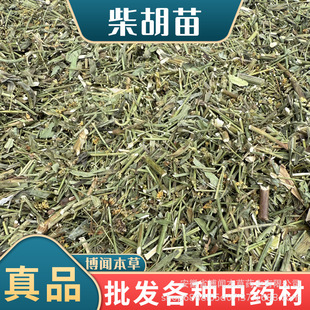 ���|�������ș�� ɽ��������a�ش�؛����r�����N��ș��