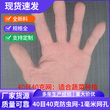 40目防虫网水果大棚加厚猪场养殖场防蚊网全新料抗老化围栏尼龙