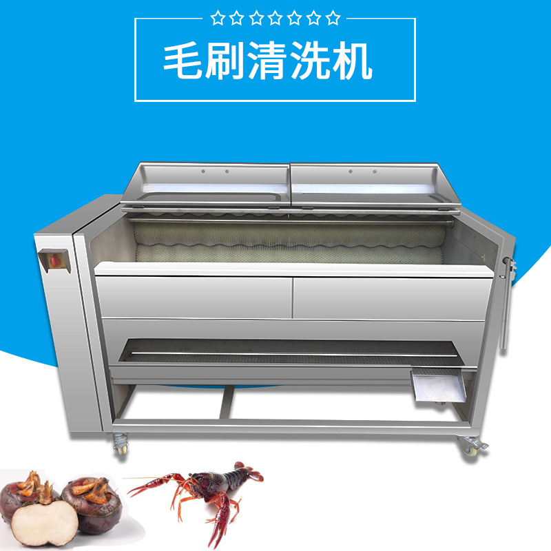 毛刷清洗去皮机 土豆萝卜芋头去皮机 果蔬脱皮机厂家 果蔬去皮机