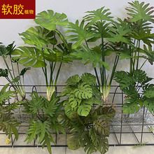 ܛz~~ӎGֲ^b廨쾰Gֲ۔[