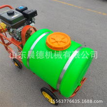 ַʽșC С͇UșСrșF