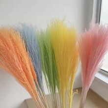 拂尘永生干花婚礼场地布置真花多色网红跨境厂家云南批发玫瑰花