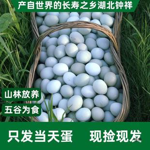 �r��G�����u����ɽɢ�B��ȬF�l���Ӟ��u�������������l