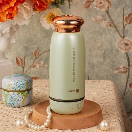 电热烧水壶便携式电热电煮烧水杯旅行保温小型迷你304养生杯