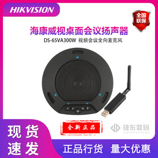����DS-65VA300Wҕ�l���hȫ�������L���hȫ���� 2.4G�o��ȫ����