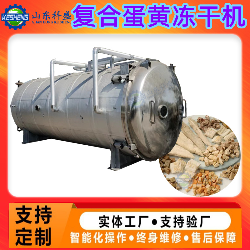 真空冻干机 酸辣粉海蚯蚓冻干机设备 自动化汤料包真空冷冻干燥机
