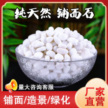 50斤装天然白石子园艺盆栽石头多肉铺面郁金香庭院造景