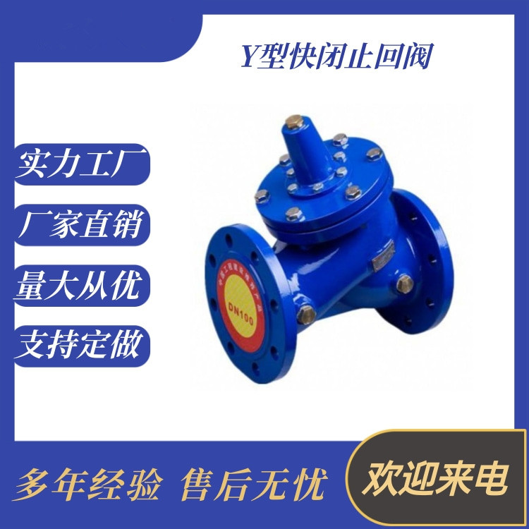 DYH41X快闭止回阀 Y型快闭止回阀DN40南高阀门
