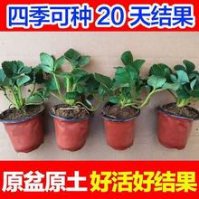 ݮ玧莧ļ̨҃ϱݮԮY