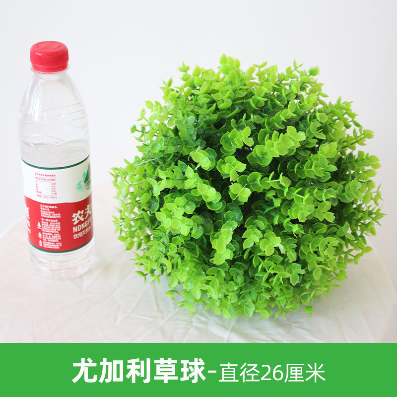 유칼립투스 잔디 공-직경 26cm