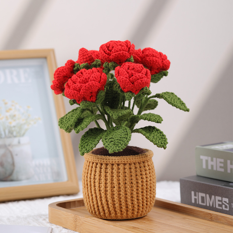 Rose planta en maceta