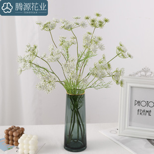 ���滨 �ٽz�� ��c�zӰ������������ֲë�ѹ�Ӣ���~�����bٻ�