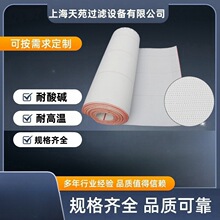 聚酯滤网聚酯滤带脱硫滤带电厂石膏脱硫滤带带式压滤机滤布滤带