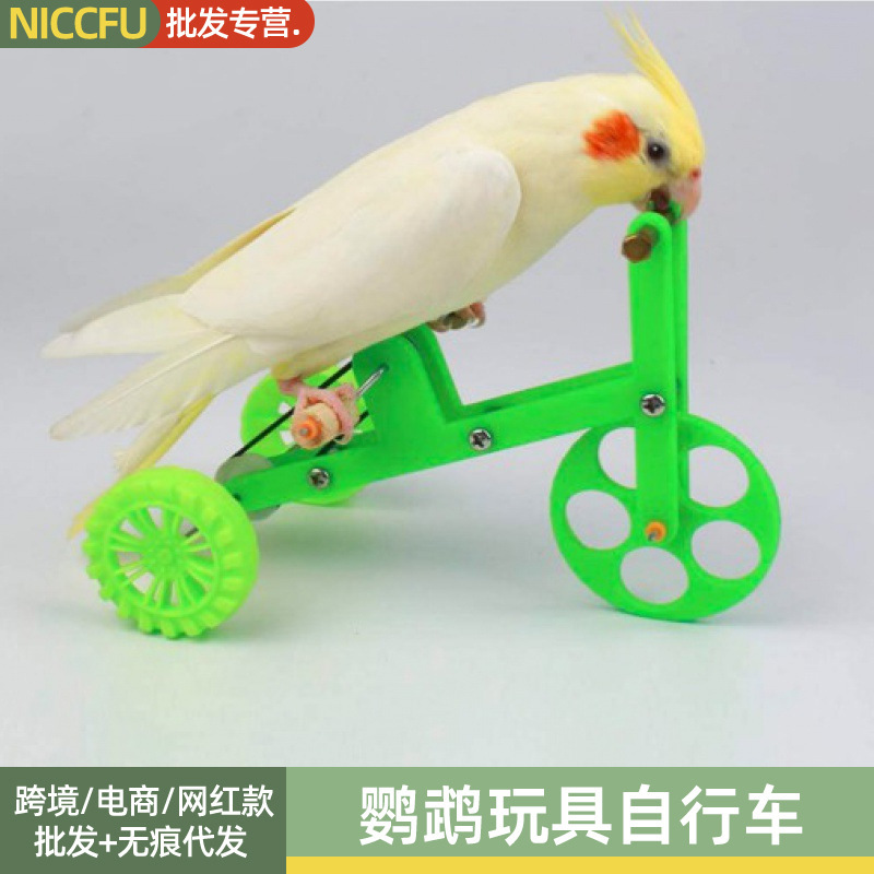 Nc Parrot Training Bicycle Bird Training Supplies Props Bicycle Black Phoenix Small Sun Training Interactive Toy Bicycle Nc Parrot Training Bicycle Bird Training Supplies Props Bicycle Black Phoenix Small Sun Training Interactive Toy Bicycle