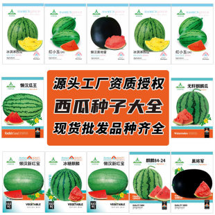 �S�����l���ϷN�Ӵ�ȫ�o�ѱ�������8424��Ƥ�Нh�����SƤ���ԷN��