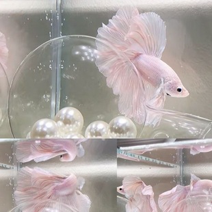 ̩�����~�鼆�~�^�p�~��ˮ�~�Ꭷ��ˮ�~���挙����w���˺��B�ͻ�