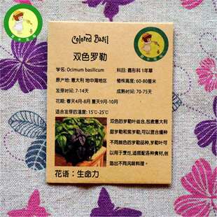 �pɫ�_�շN�� ���_�շN�Ӻ����_�շN�ӽM�ϰ� �Ō����_����ݷN��