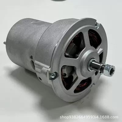 Generatorlar hissələri (Dinamo və detalları) Beetle Car Alternator