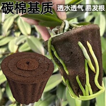 碳棉种植杯蝴蝶兰育苗盆热植土石斛多肉基质块营养土兰花植料