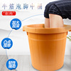 Deepen Paojiao bucket thickening massage Foot bath bucket Plastic Footbath household Foot bath Dichotomanthes Foot bath bucket