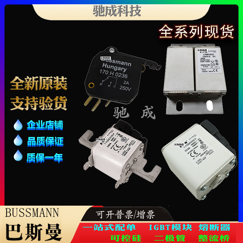 巴斯曼170M7138 170M7139 170M7140 厂价供应厂价直供 原装熔断器