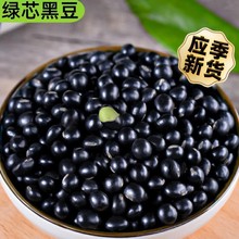 25��؛�Gо��ڶ�5�� �r�����ʞ�Ƥ�G�ĺڶ��� ���{�lѿ��ڞ���