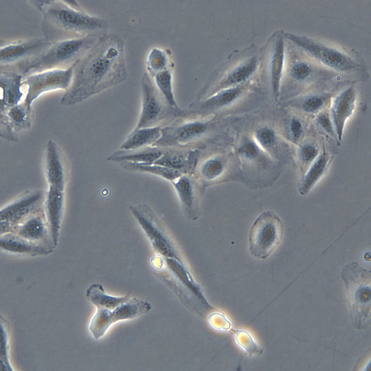 2025-09-17 14:31:45.jpg