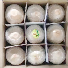 海南去皮新鲜椰青椰子9个装当季孕妇水果香椰子水去皮椰皇特产