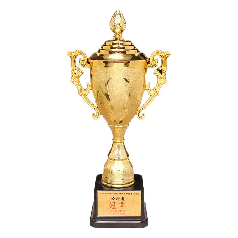 Парусный пластиковый трофей школьные тренировочные игры соревнование покрытие с крышкой медаль Morning Glory медаль украшение оптом