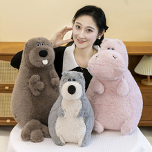 �¿������ë�q��żLOOKMEϵ��ë�q����냺���ჺͯ�Y��S��