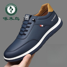 ��ľ�B��Ь�＾�¿��\�����eЬ���г��ٴ��Ь��ܛ��ƤЬ��Ӣ��Ь