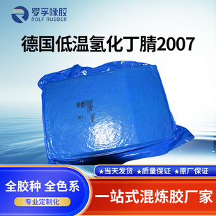 German Low Temperature Hydrogenated Nitrile Rubber 2007 Industrial Sealing Rubber Products Nitrile Rubber Customized Non-Standard Parts