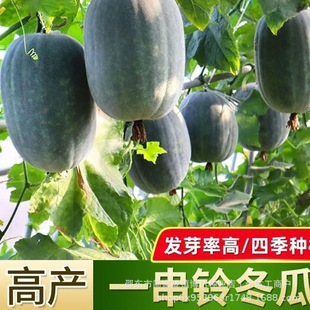 һ���С���ϷN���ļ��߮aС������ͥԺ�̨���Դ����߲˷N��