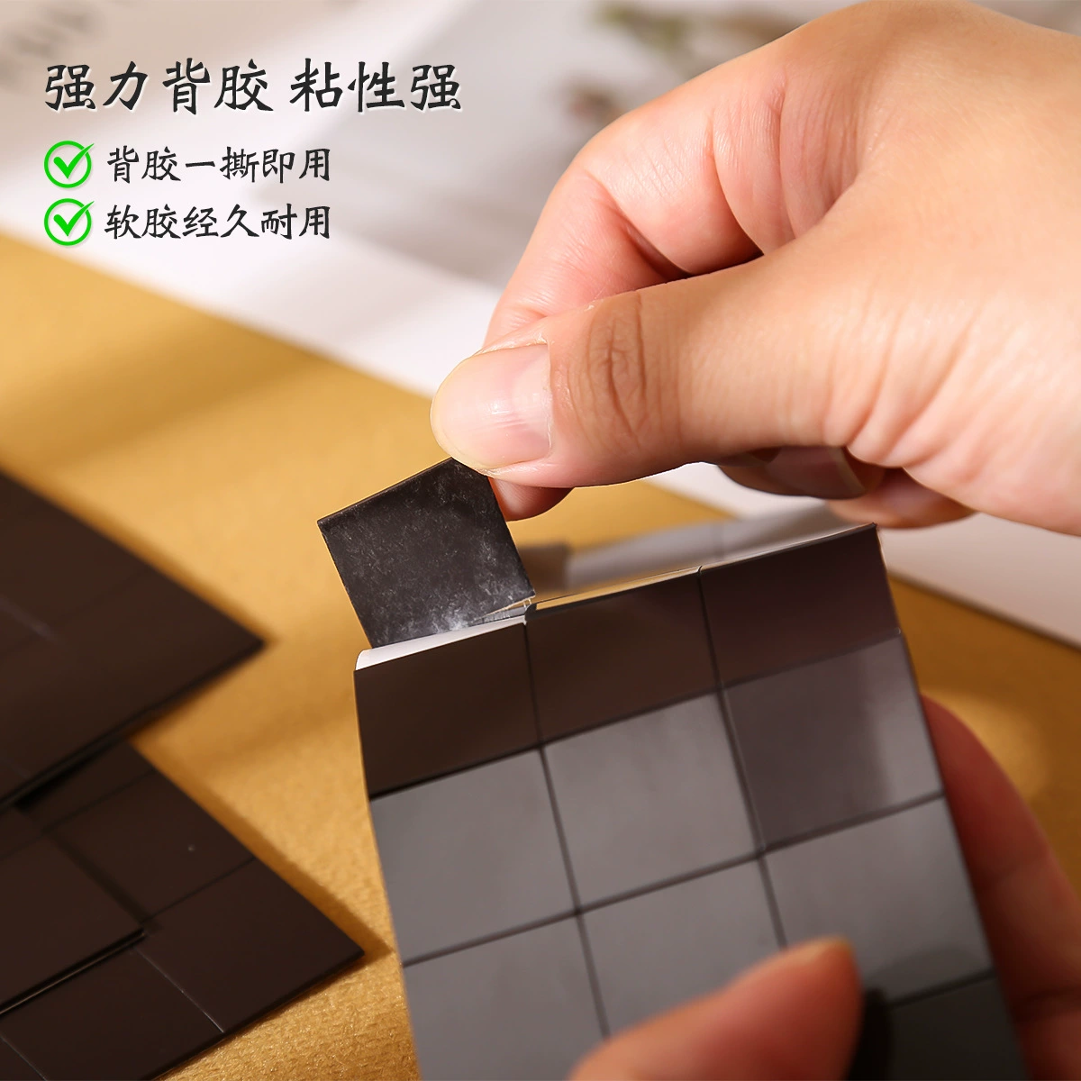 Вместите дверь куплета с магнитным всасыванием пластыря