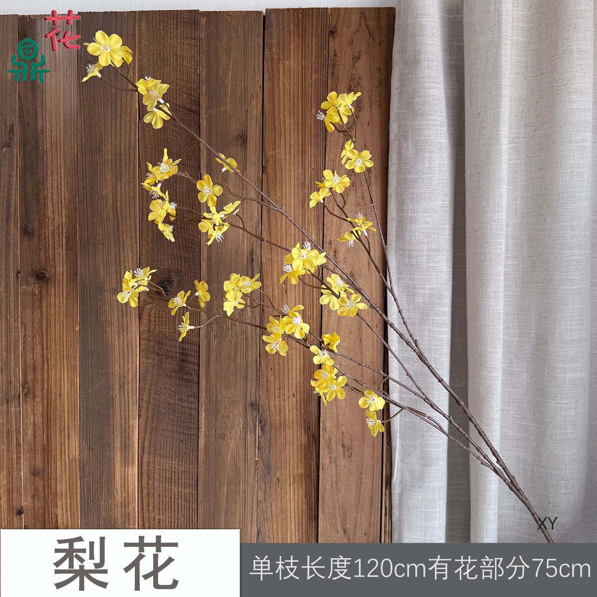 Hoa lê XY màu vàng
