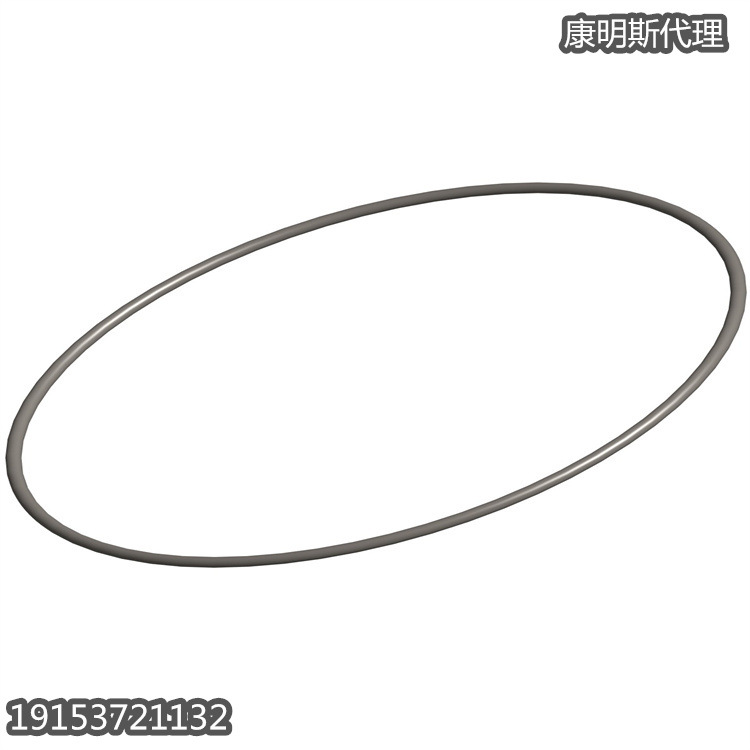 QSV91系列发动机修理件 O形环密封3423818 SEAL O RING